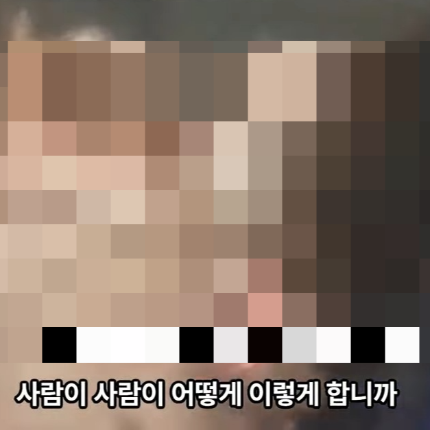 김포 양촌읍 누산공원 성적 학대 강아지 밍키 생식기