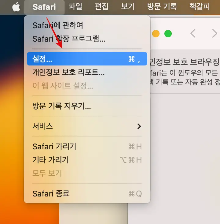 safari > 설정