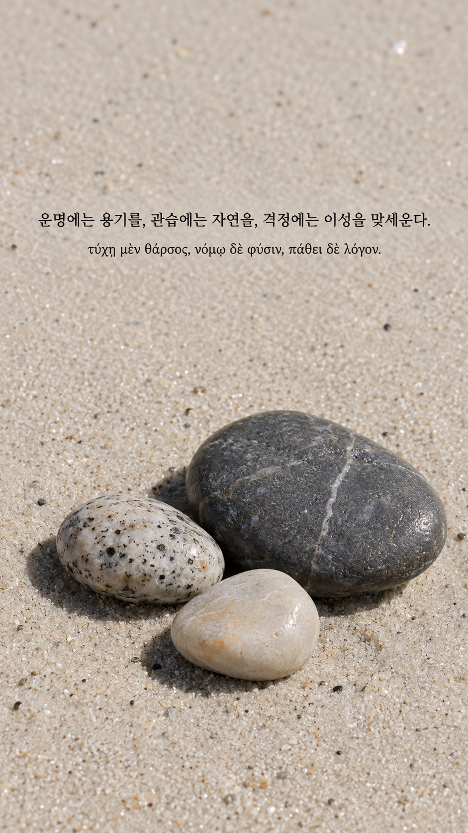 디오게네스 명언 11 운명에는 용기를, 관습에는 자연을, 격정에는 이성을 맞세운다. 한글과 그리스어 원문이 담긴 세로 사진