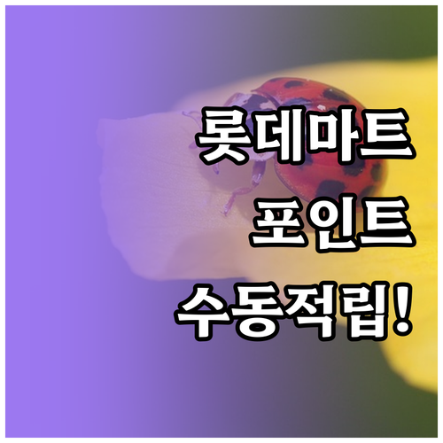 롯데마트 통큰세일 포인트 지급 시기 ..