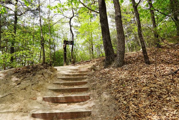 숲길에 나지막한 나무계단 오르막 길, 가운데 이정표,