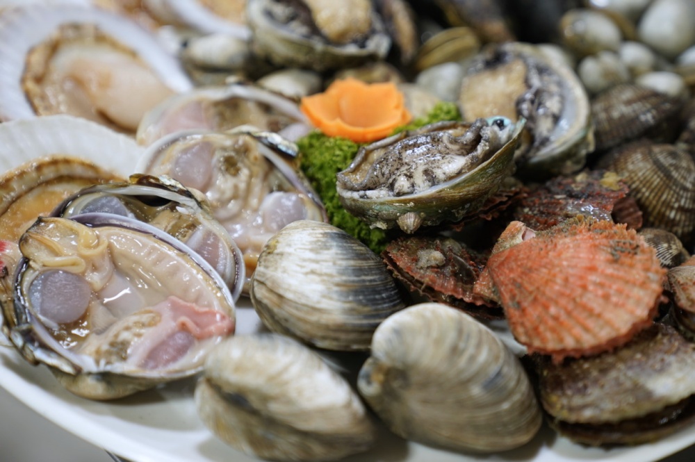 KBS 2TV 생생정보 대천 키조개구이 삼합 위치&amp;#44;후기&amp;#44; 메뉴 2024년 4월 8일 월요일 2023회