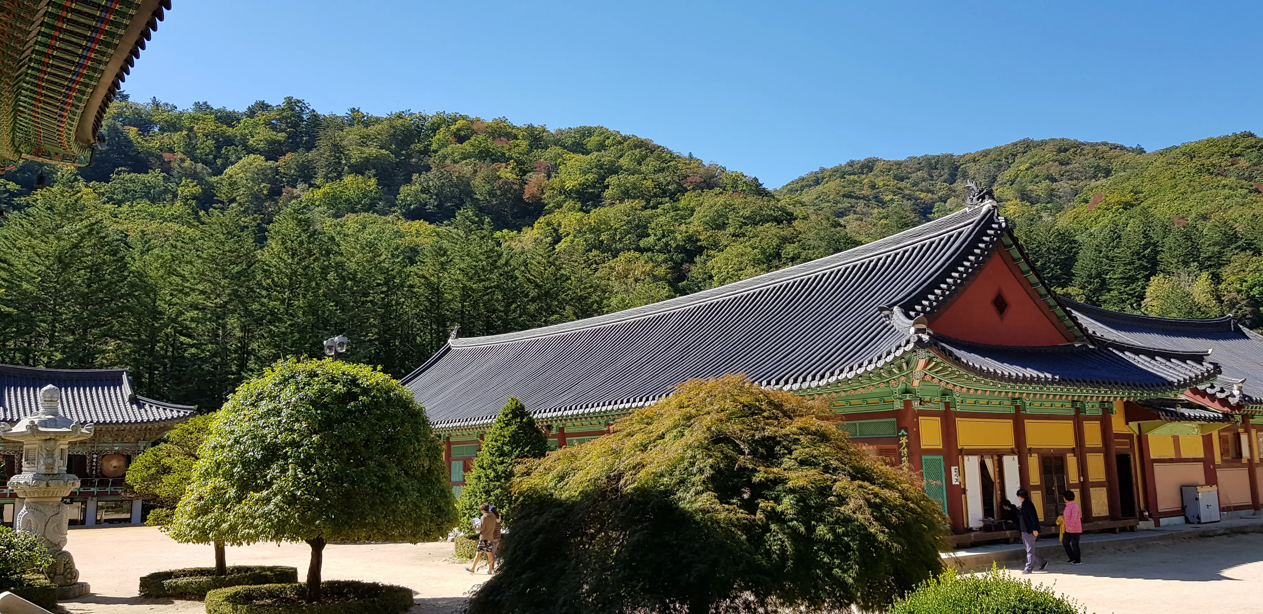 자연과 어우러진 오대산 월정사 전경
