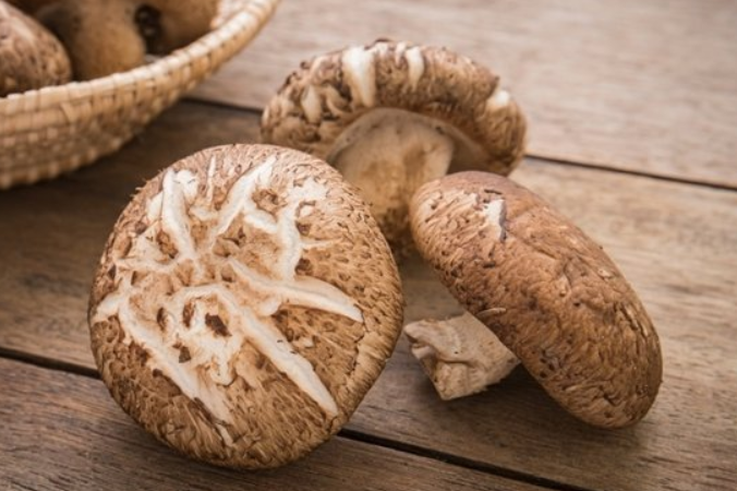 표고버섯 영어로