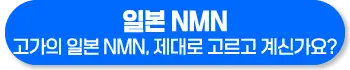 일본 NMN 영양제 효능 복용법