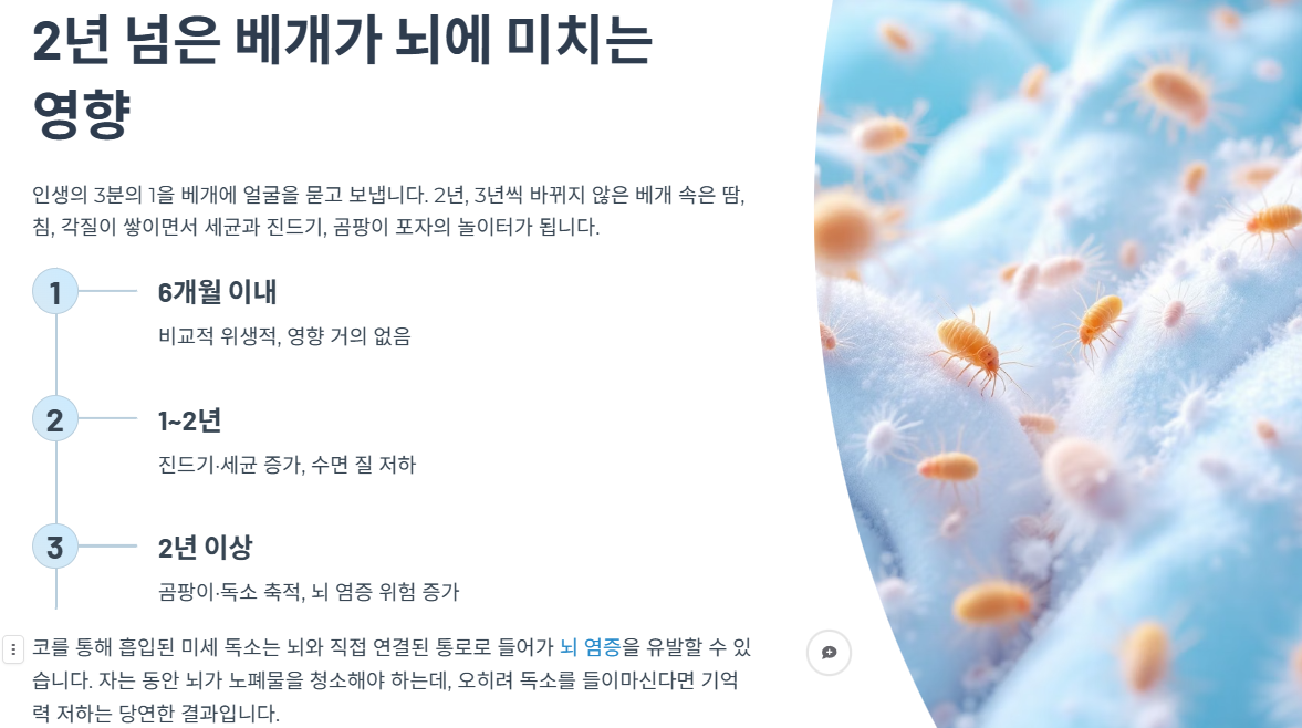 2년 넘은 베개가 뇌에 미치는 영향