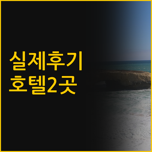 실제 투숙객 후기로 본 멜버른 인기 ..