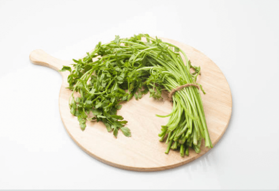 청명(淸明) 절기에 즐기는 봄나물 가이드