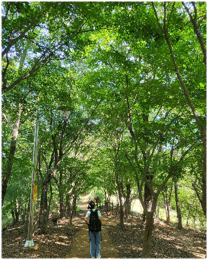 황방산