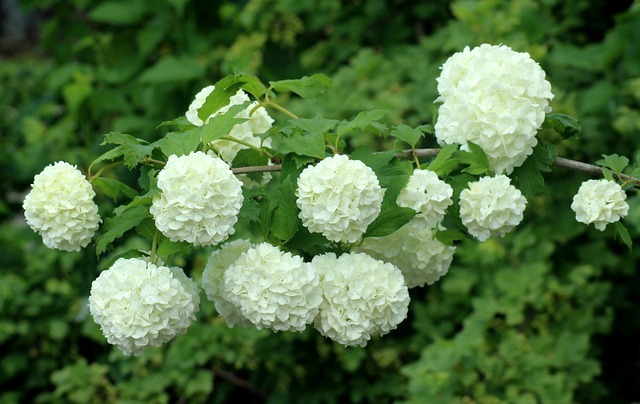 김수미 나이 프로필 정리 ✅