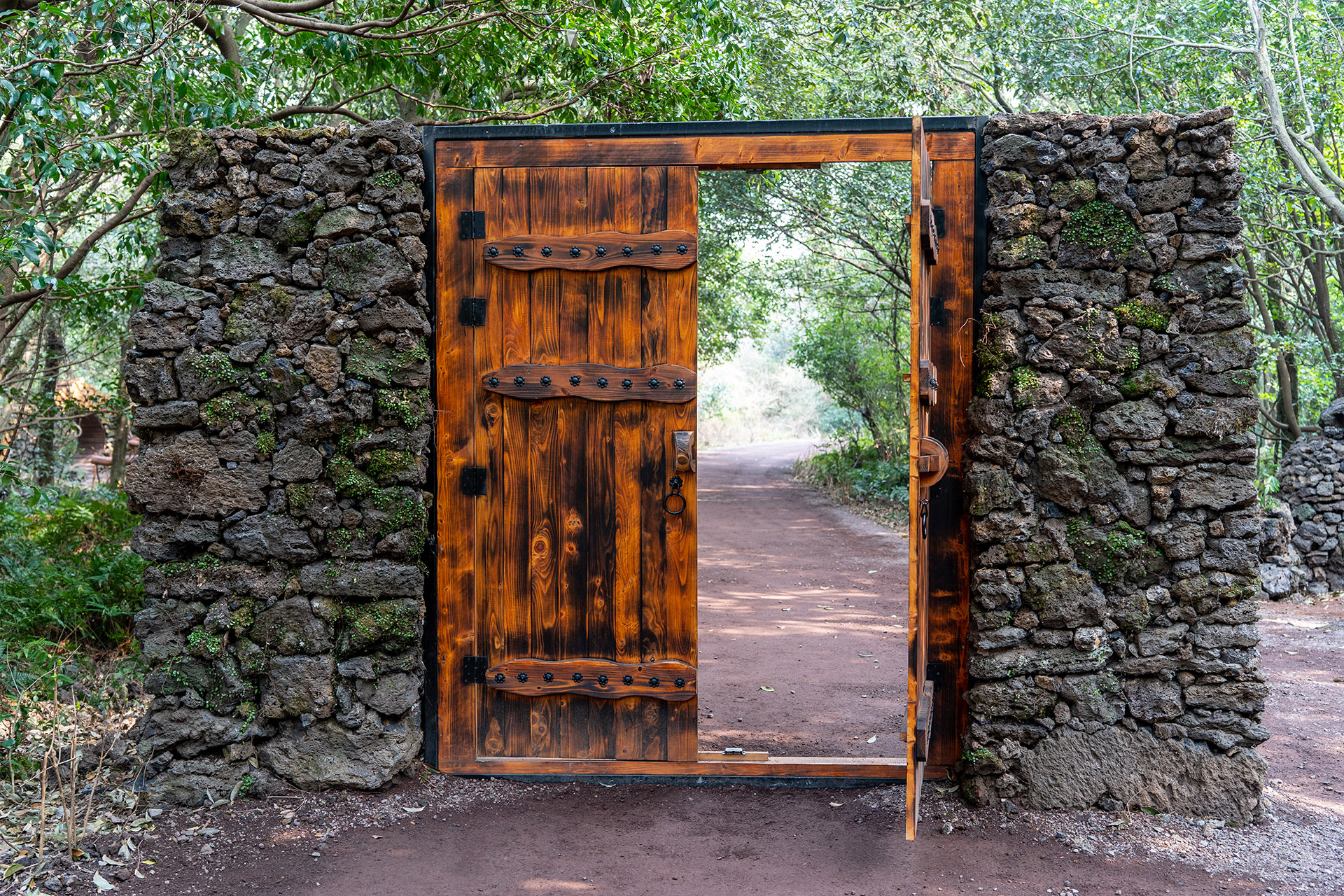 산양큰엉곶(산양곶자왈)