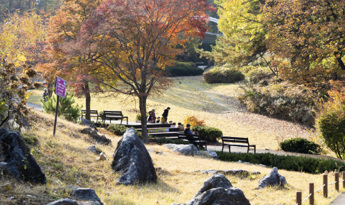 자연학습체험공원