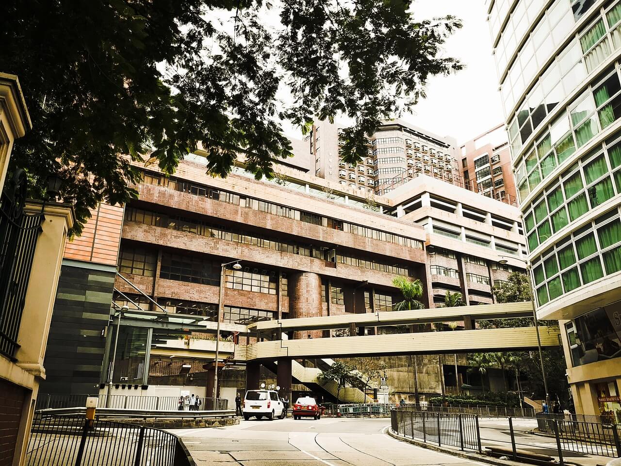 홍콩,대학교,학문,우수성,