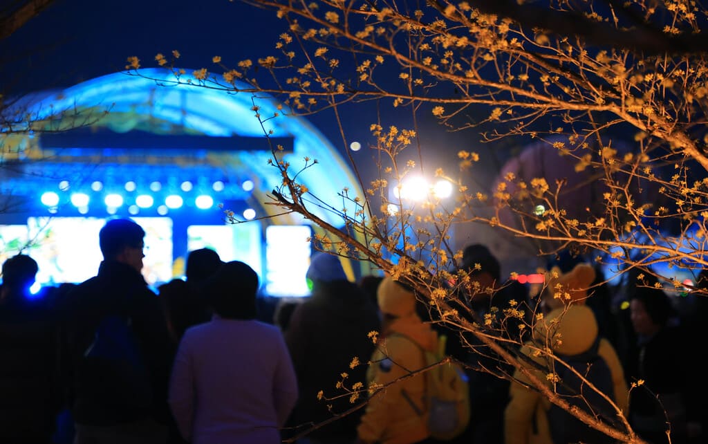 구례산수유축제 일정, 서울에서 당일치기 가능! 2025년