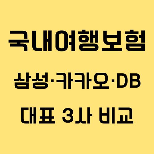 국내여행보험 삼성&middot;카카오&middot;DB 대표 3사 비교