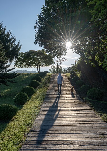 반려동물 자진신고 등록방법과 절차