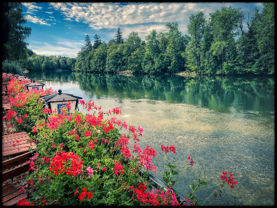 10대 아들 입맛 분석! 엄마를 위한 맞춤 명절 요리