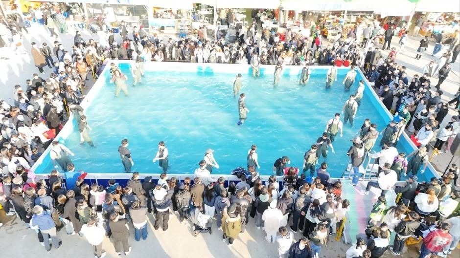 제주 겨울 축제 추천: 최남단 방어축제 (가파도&middot;마라도 방어 명소) 관련 사진