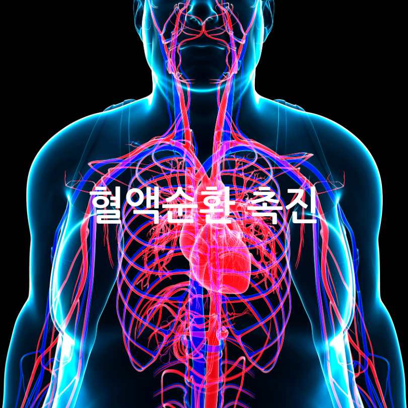 지압 슬리퍼 부작용과 효과