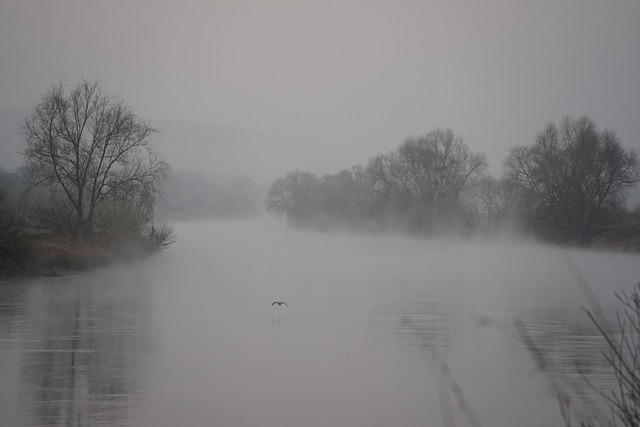 걷기만 한다고 뭐가 달라질까 (ADHD, 우울증,무기력증)