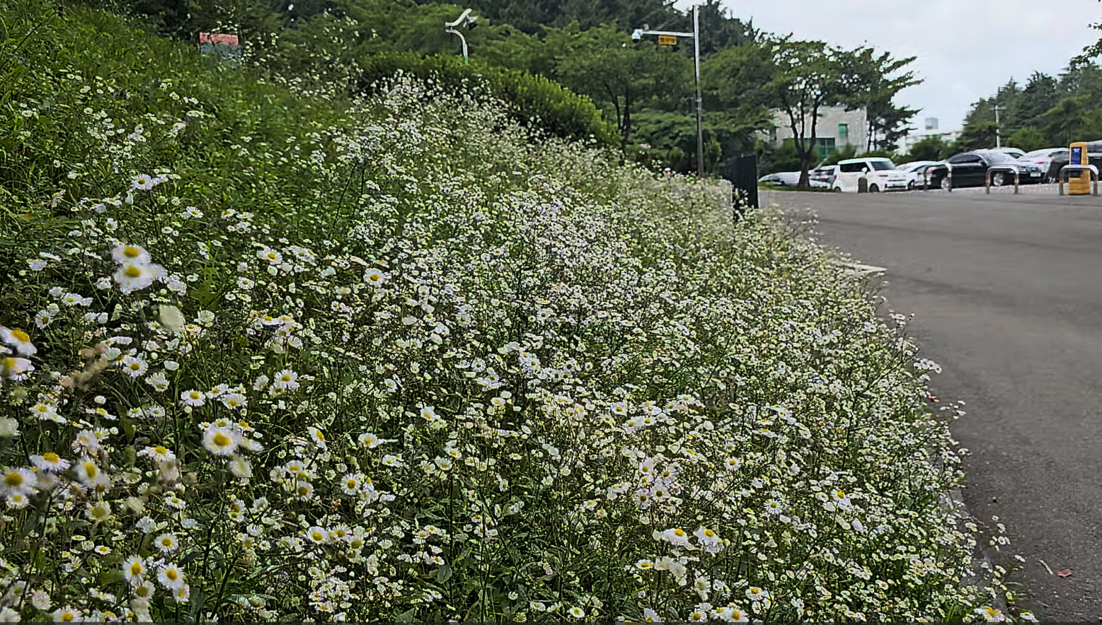 환호공원_스페이스워크