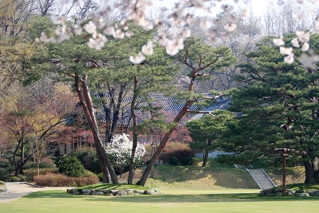 청와대 관람