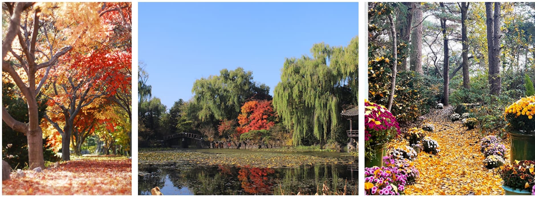 벽초지수목원 봄꽃축제❘온라인 예매 방법, 계절별 즐길 거리, 촬영지