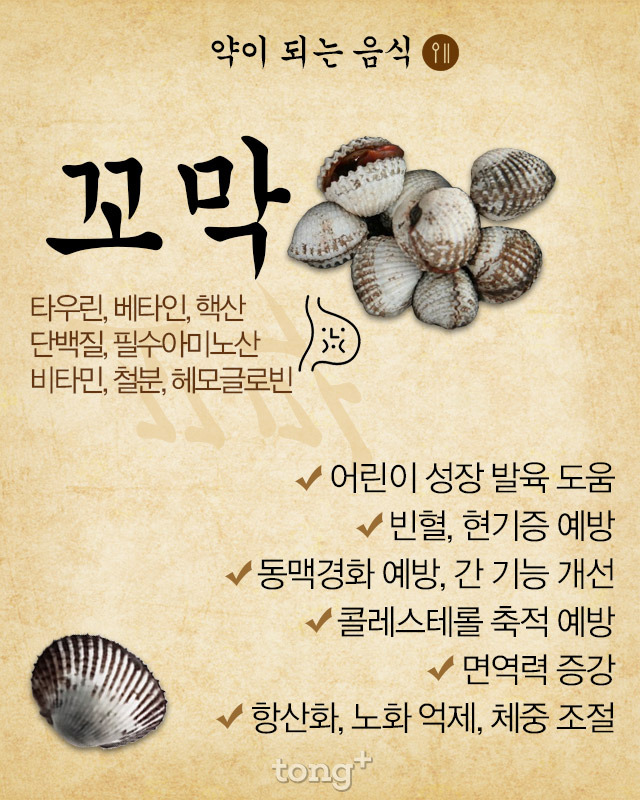 약이 되는 음식