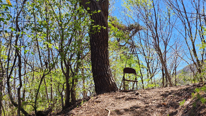 등산로의 의자