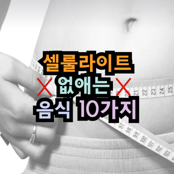 셀룰라이트 없애는 음식 10가지