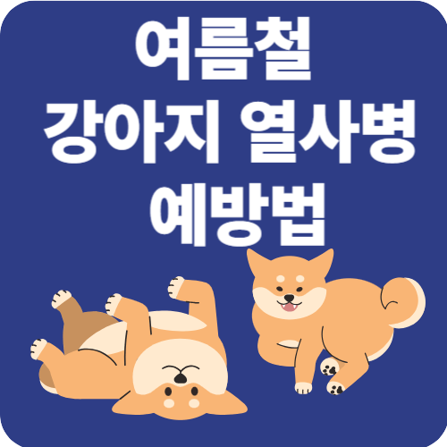 강아지 여름철 열사병 예방법! 우리 아이 안전하게 지키는 꿀팁