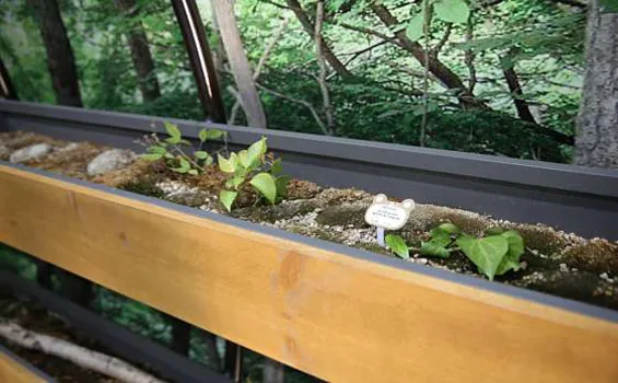 지리산생태과학관