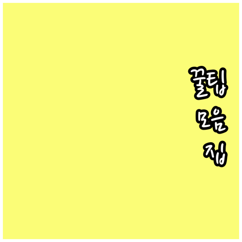 ESTA 결제 오류 미국 여행 망친다..