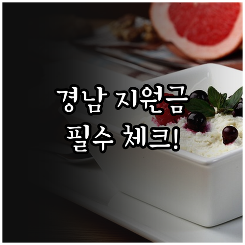 경상남도 생활지원금 자격 조회와 부정..