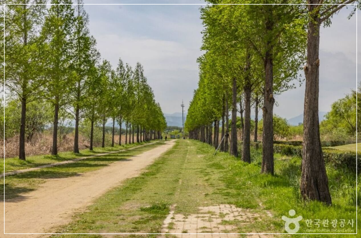 부산 가볼만한곳 베스트10 삼락생태공원