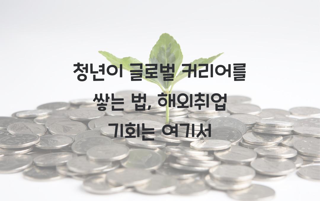 청년이 글로벌 커리어를 쌓는 법 (해외취업 & 원격근무 기회 찾기)