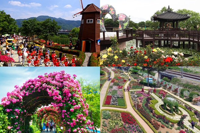 전국장미축제 이미지