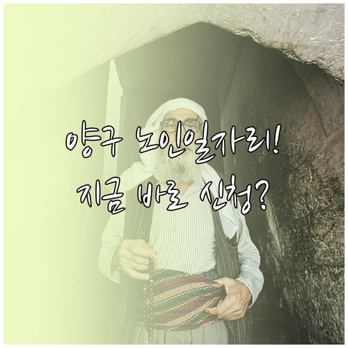 양구군 시니어클럽 실시간 노인일자리 ..