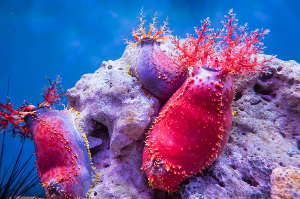 나트랑 여행 추천 나트랑 국립 해양 박물관