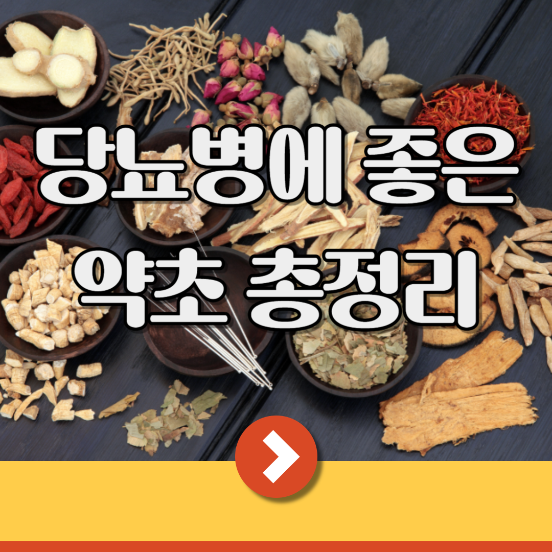 당뇨에 좋은 약초 총정리, 어떤 것이 있을까? 1