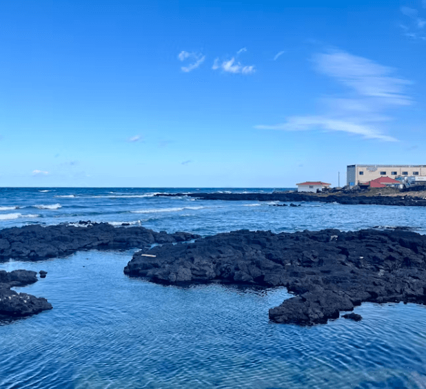 제주 숨비해안로 드라이브 코스 완벽 정리
