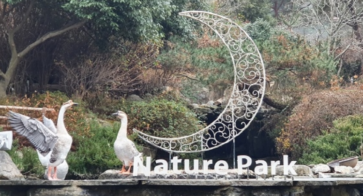 대구 네이처파크