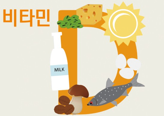 비타민 D가 풍부한 식품