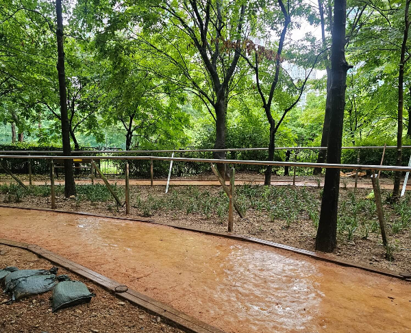 계족산 황토길 걷기, 맨발걷기 효능 6