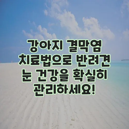 강아지 결막염 치료법으로 반려견 눈 건강을 확실히 관리하세요!