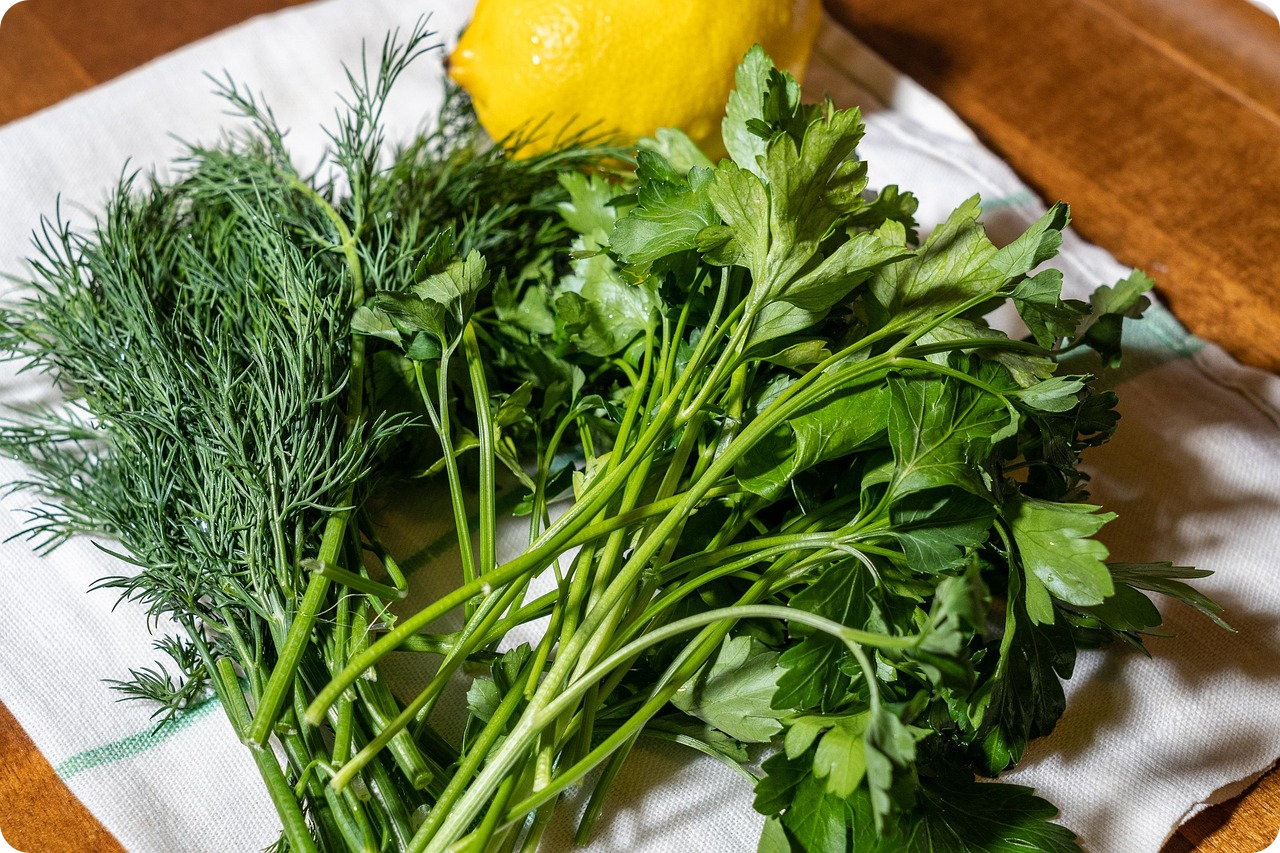 사탕이나 껌 말고 입 냄새를 줄여주는 건강한 간식