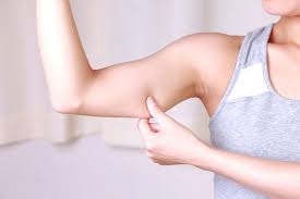 다이어트 식단 추천