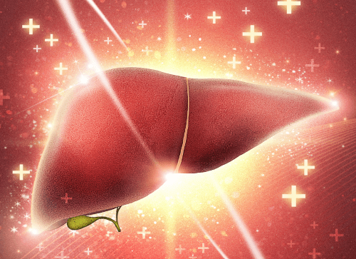 간암: B형 간염과 베물리디! 불가분 관계!