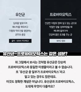 LGG유산균 추천