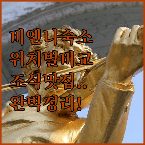 비엔나 호텔 추천 위치별 장단점 비교..